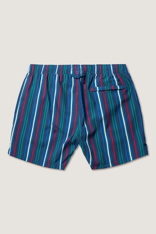 Classic Pinstripe Swimshorts Poseidon