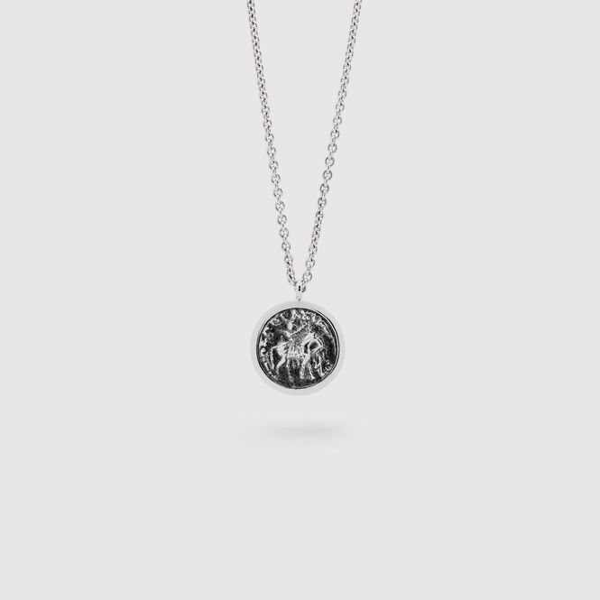 Hovedbilde COIN PENDANT 20.5 inch