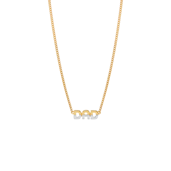 Hovedbilde DAD TWO-TONE NECKLACE ...