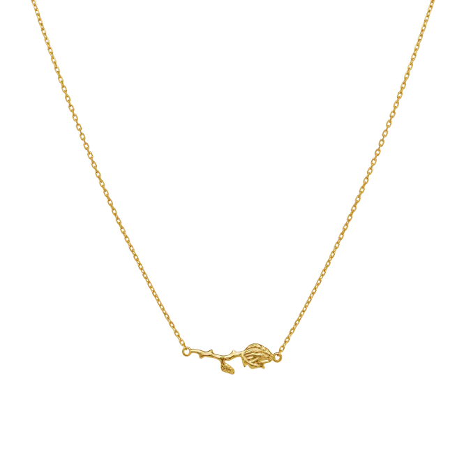 Hovedbilde ROSANNA Necklace Gold