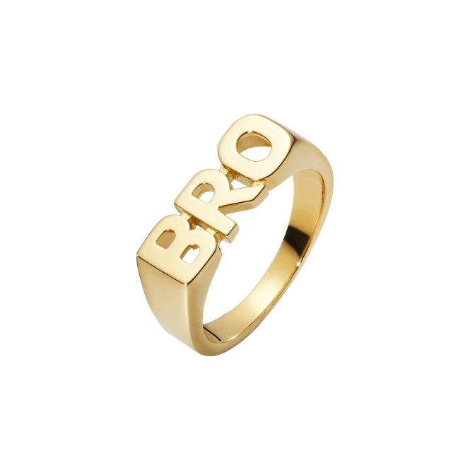 Hovedbilde BRO Ring Gull 